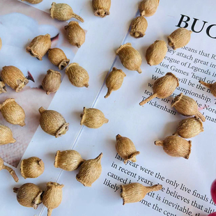 小山捻迷你果子手工野外装 饰干果山捻拍照道具森女手工材料小果子