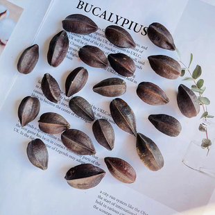 使君子五角桃天然植物干花diy留求子史君子手工香薰材料装饰品