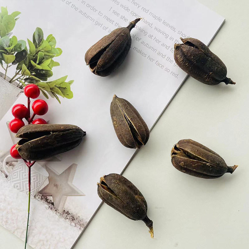 玫瑰剑麻壳天然植物混合森系DIY手工制作材料干花包迷你装饰真品,家居饰品,干花/花瓣/干花包/干树枝,淘宝优惠券,粉丝福利购,淘宝优惠卷