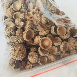 天然橡果帽橡籽落叶松圣诞美人松云杉松干花包手工diy原材料