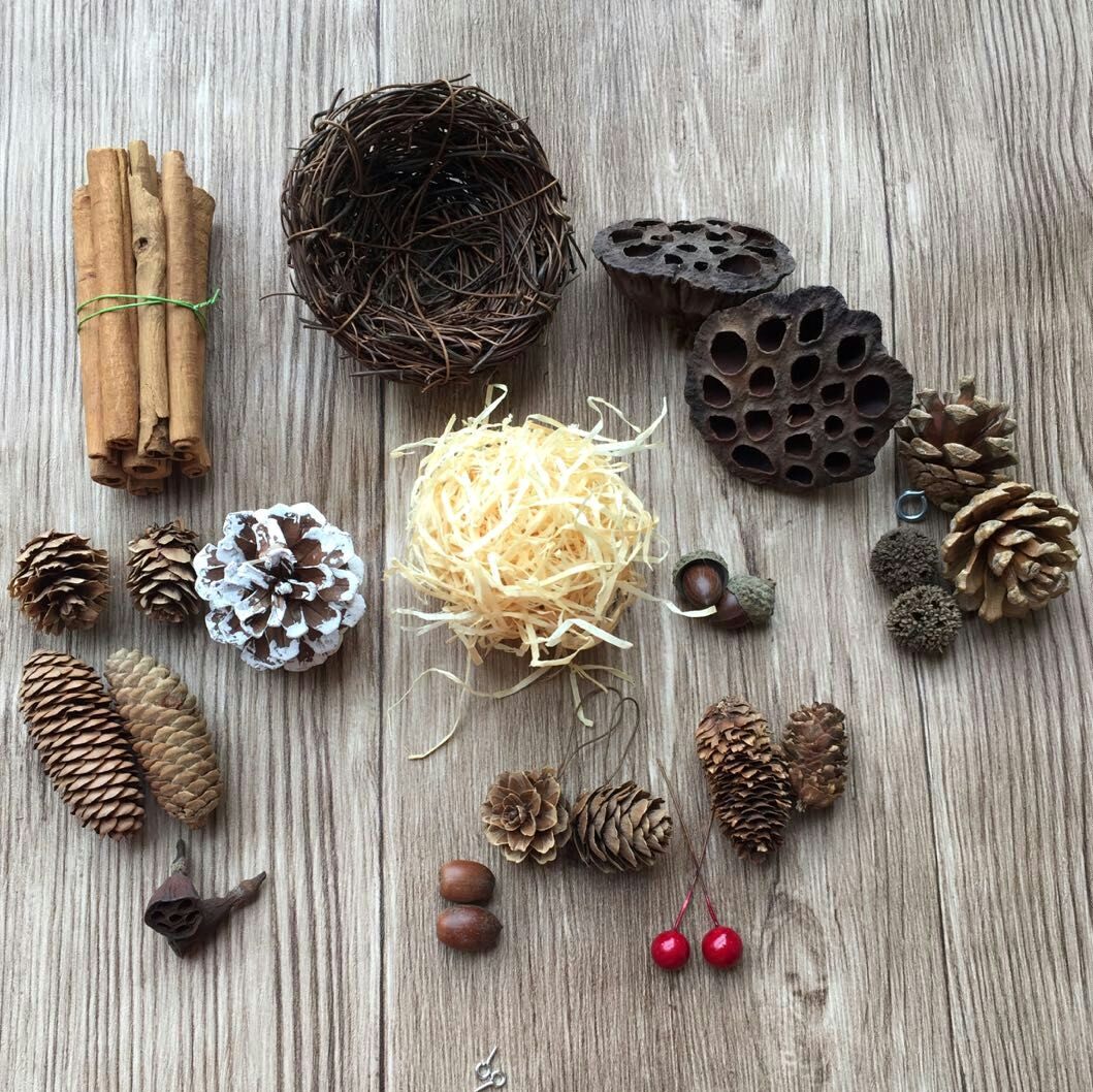 包邮材料包干花包橡子松果树枝莲蓬幼儿手工diy圣诞装饰拍摄道具