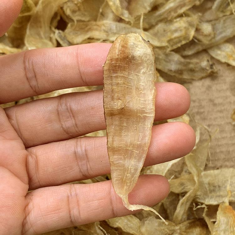 600头小豆仁胶 温州黄花胶黄鱼胶海鲜干货滋补养生 自晒清水无药