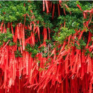 许愿带祈愿带飘带平安带空白无字寺庙景区高考福带心愿挂树红丝带