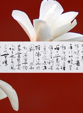定风波字画书法手写真迹毛笔字挂画办公室客厅装饰画书房茶室壁画