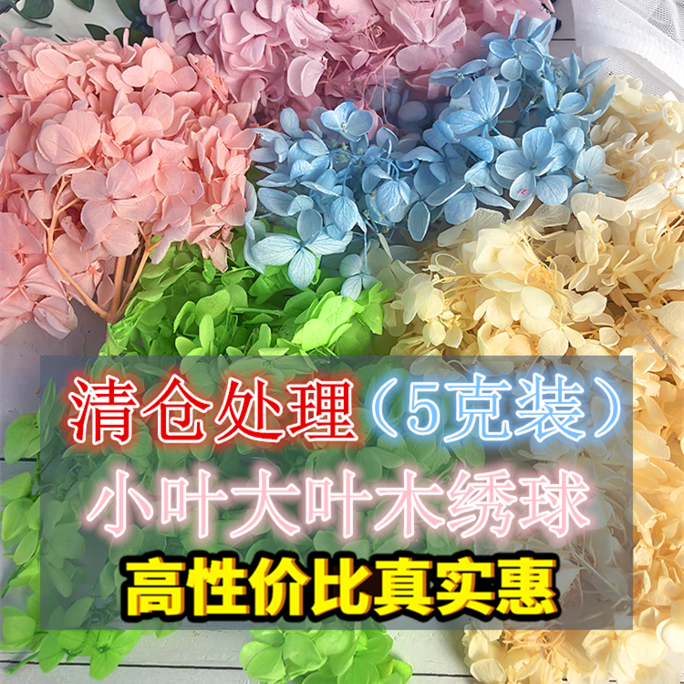 ÓÀÉú»¨ÐåÇò²£Á§ÕÖÐÂÄïÍ·ÊÎÊÖ×ãÓ¡ÍÅÉÈDIY²ÄÁÏÊ¥µ®ÇéÈ˽ÚÉúÈÕÀñÆ·