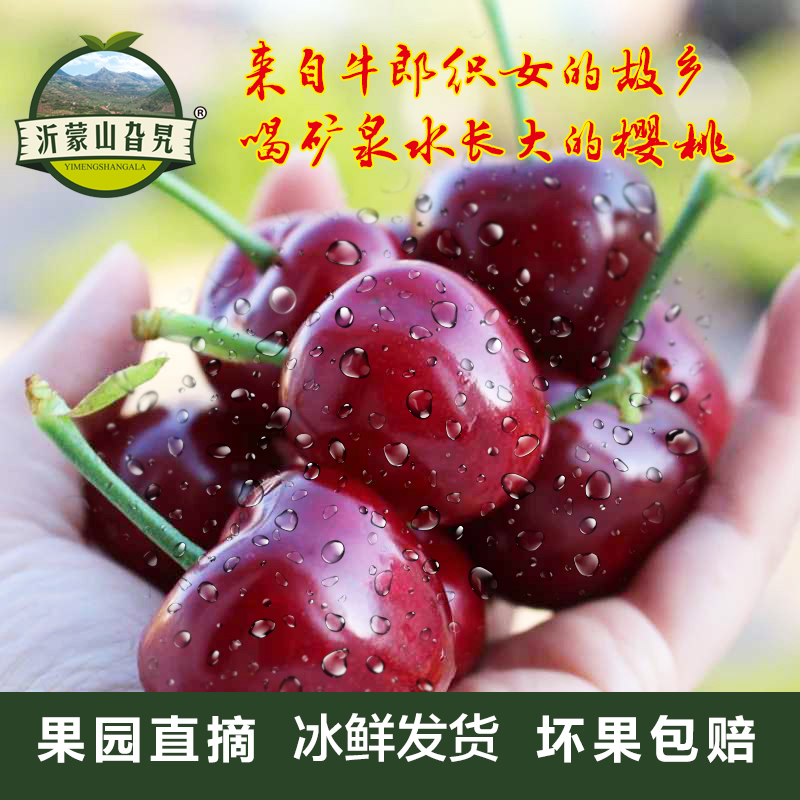 现货山东沂源美早大樱桃非车厘子新鲜孕妇水果整箱包邮现货
