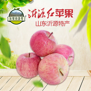 富锶沂源红苹果水果多汁酸甜非烟台红富士5斤装整箱应季脆甜包邮