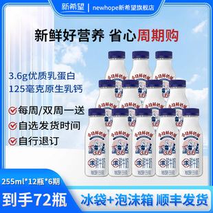 12瓶 新希望今日鲜奶铺255ml 期鲜牛奶共72瓶 周期购6期共72瓶