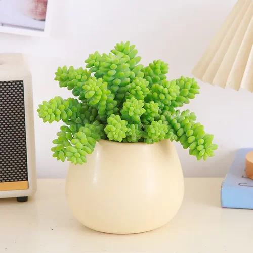 彩虹玉坠多肉植物带盆栽好新手好养活萌肉阳台客厅垂挂多肉小盆栽