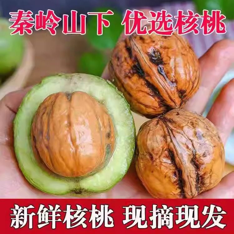陕西周至秦岭新鲜核桃手工去青皮湿核桃孕妇水果现摘现发5斤包邮