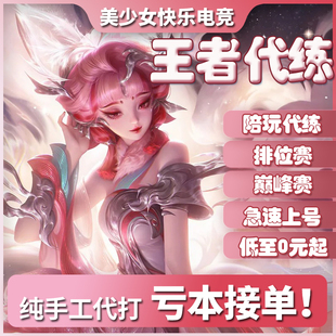 王者荣耀代练代肝陪练排位上分赛代打大小国标刷荣耀英雄战力