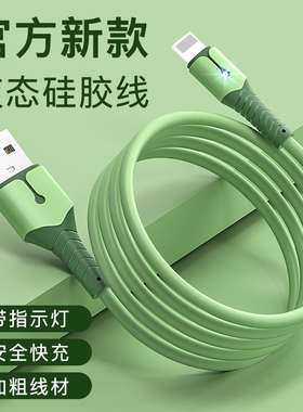 液态硅胶数据线适用苹果iPhone13pro充电器12mini快充11手机xr x加长1.5米2米7plus平板8p 6sp闪充6s xs max