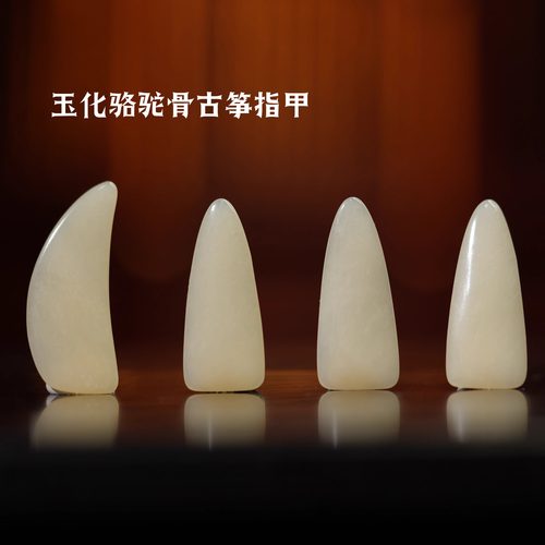 骆驼骨古筝指甲玉化漂亮耐磨