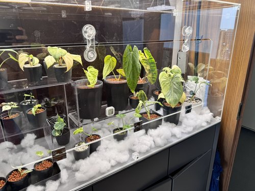 热植柜亚克力热植闷养柜闷养箱保温箱热植缸热植柜定制