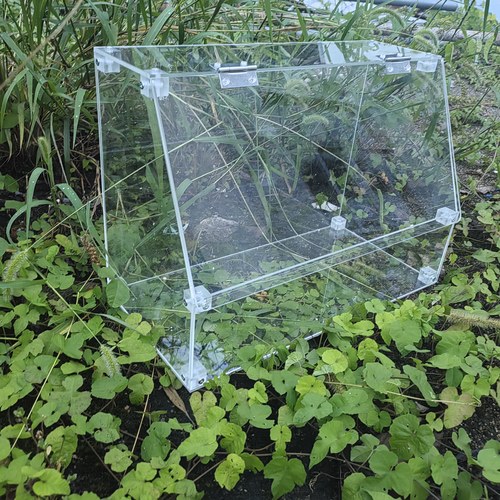 亚克力闷养箱宜家温室花房透明植物保温室温室罩迷你温室
