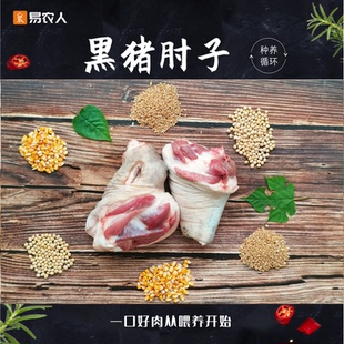 圖中一對8斤起拍 亂拍不發 散養黑豬新鮮小肘子豬小肘500g 易農人