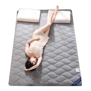 定制加厚床垫软垫家用榻榻米冬季保暖床褥垫子宿舍被褥铺底1米5薄