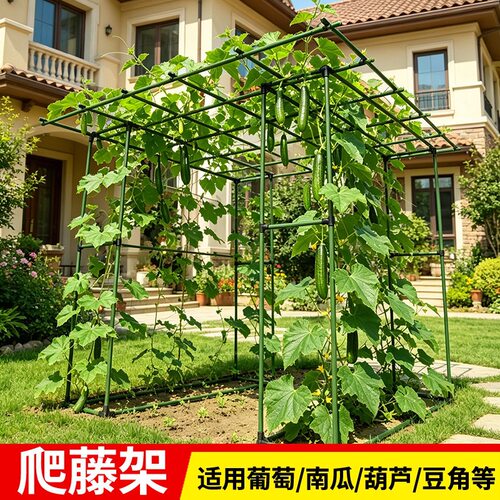 承重葡萄花架25mm包塑钢管室外爬藤支架百香果猕猴桃南瓜葫芦架