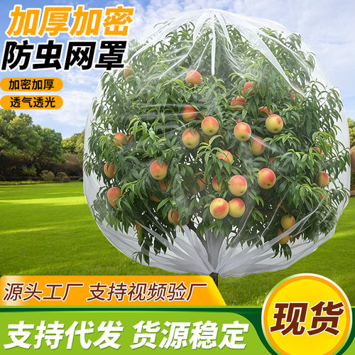 跨境植物防鸟罩农用大棚果树花卉拦鸟网加厚加密防虫网袋防虫网罩