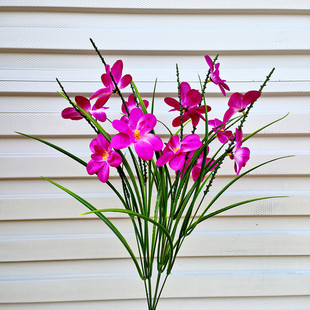 单支仿真马兰花塑料花兰花假花假草桌面手工花装饰花7杈大玉兰