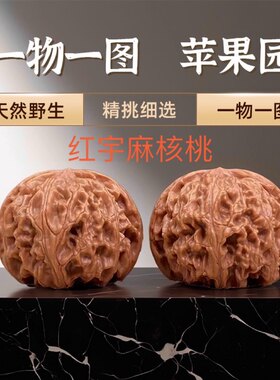 精品野生红皮磨盘实拍图一物一图