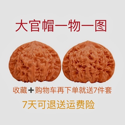 王勇官帽文玩核桃一物一图精品