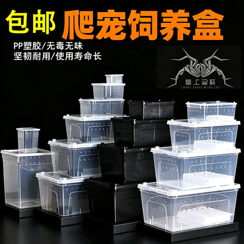 爬虫蜘蛛饲养盒角蛙仓鼠守宫马陆爬宠箱乌龟缸寄居蟹饲养杠昆虫盒