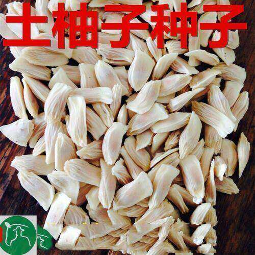 酸柚种子土柚子种籽香泡子酸柚砧木嫁接泰国红宝石青柚种子多年生