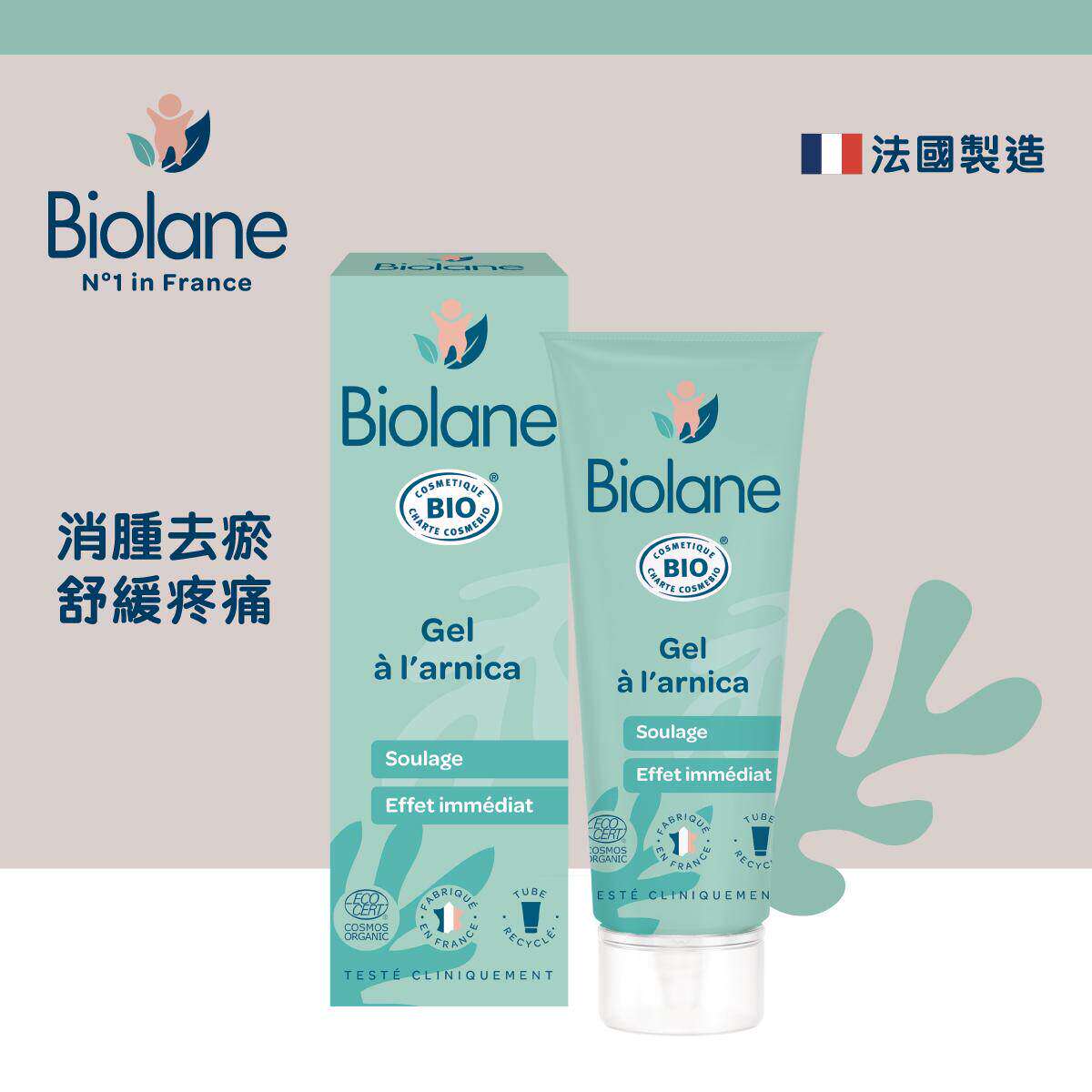Biolane 山金车去瘀凝胶20ml盒装舒缓疼痛私密修复祛湿法国香港版