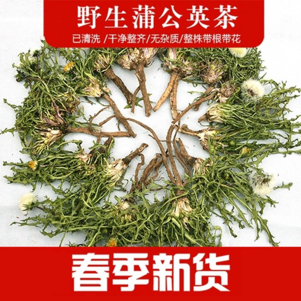 新货野生蒲公英根花茶蒲公英茶整颗带根干的婆婆丁500g 传统滋补营养品 其他药食同源食品 原图主图