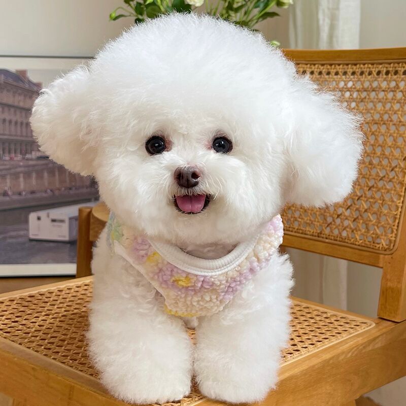 秋冬新款双面毛绒加厚背心外套