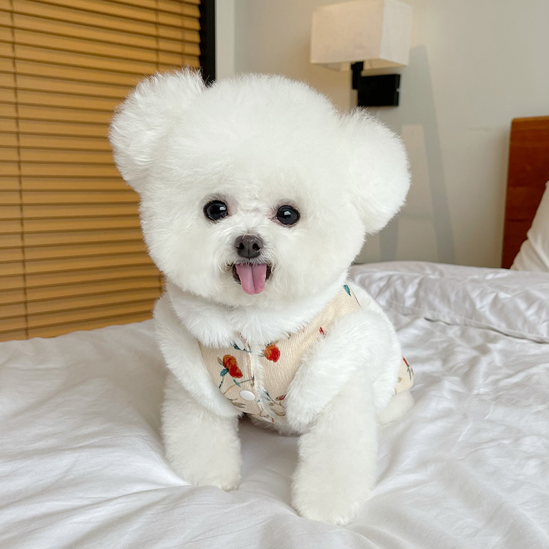 秋冬新款加绒碎花新年裙子