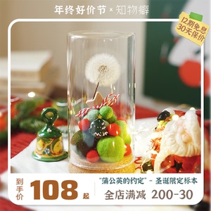 知物癖《蒲公英的约定》永生花蒲公英 圣诞节玻璃摆件生日伴手礼