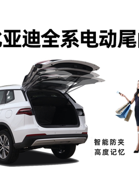智能防夹双杆双电机进口电机