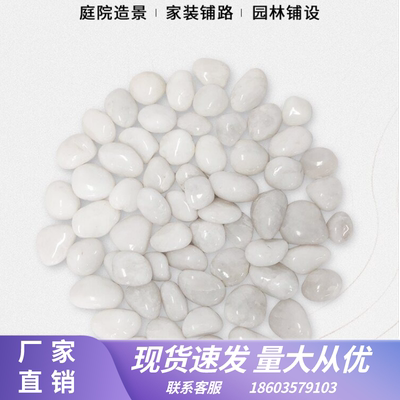 四川50斤白色抛光鹅卵石庭院铺路铺地大小石头户外阳台造景雨花石