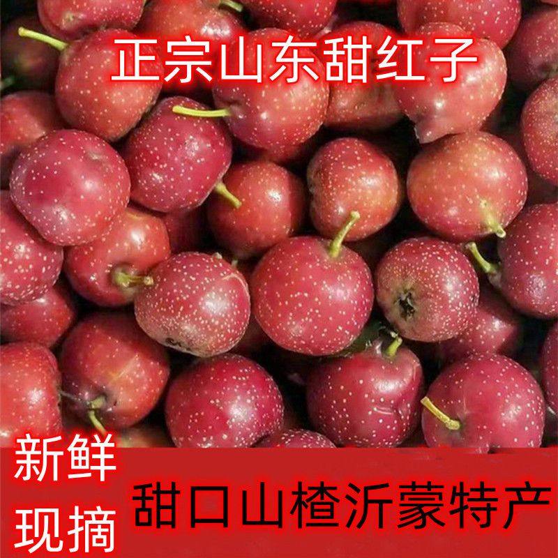 不酸的山楂甜红子山楂新鲜水果产地直发糖雪球专用小山楂红果