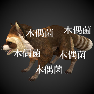 c4d fbx格式骨骼绑定动物浣熊游戏怪物动作文件 非实物C711