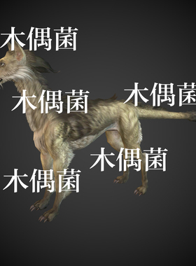 c4d fbx obj格式狗子骨骼绑定带动作动物文件 非实物C477