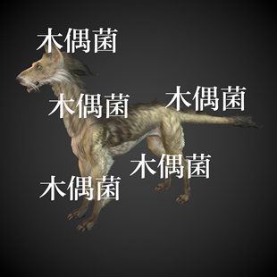 狗子骨骼绑定带动作动物文件 obj格式 非实物C477 fbx c4d