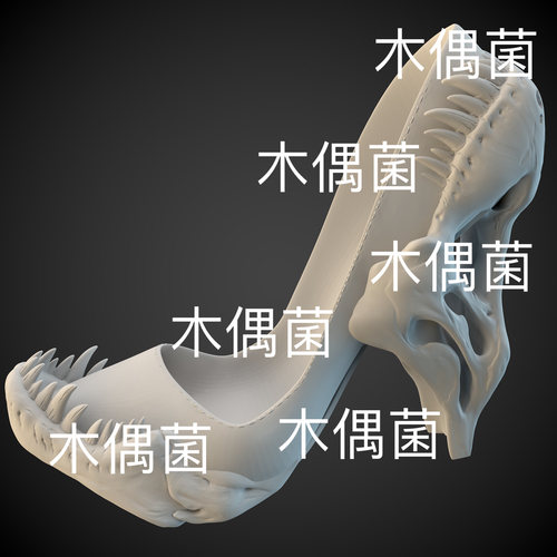 STL格式3D打印文件数据霸王龙骨高跟鞋模型 非实物A6