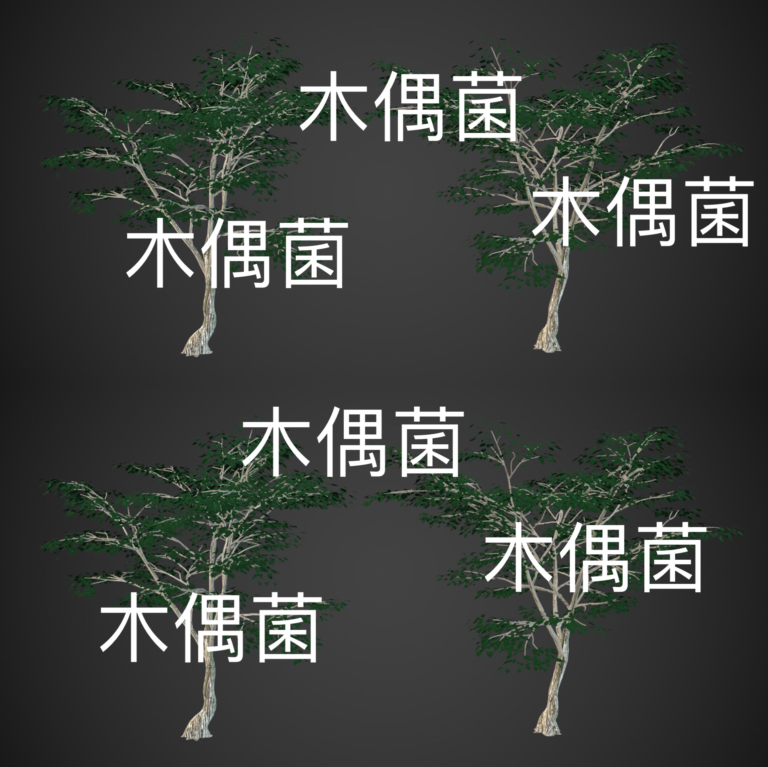 3dmax c4d fbx obj 3ds格式远景植物树木场景装饰文件 非实物C770
