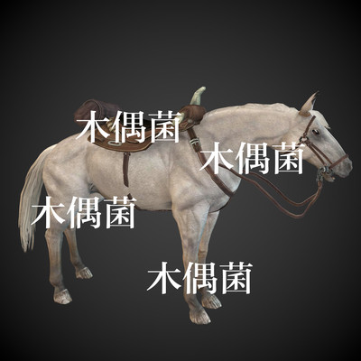 c4d fbx格式骨骼绑定带动作动物马坐骑千里驹模型文件 非实物C347