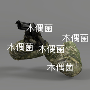 非实物S21 m9手枪持枪竞技游戏第一人称绑定动作文件 c4d fbx格式