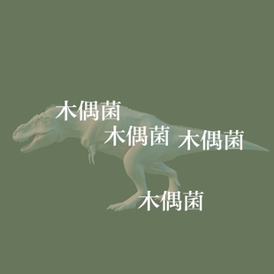 骨骼绑定恐龙霸王龙四边面带动作文件 fbx格式 非实物C30 c4d maya