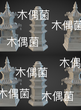 2个 3dmax c4d fbx obj 3ds格式古代古风建筑佛塔文件 非实物C774