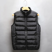 2019 áo vest nam mới mùa thu và mùa đông Hàn Quốc phiên bản cổ áo vest xuống áo khoác đen ấm áp vest nam - Áo vest cotton