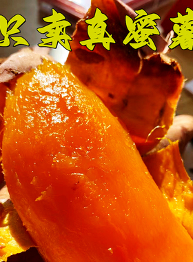 蜜薯烟薯25号烤地瓜新鲜现挖流糖沙土地种植产地直发 蜜薯烤地瓜