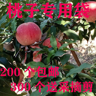 桃子专用套袋梨袋桃子袋梨套袋木瓜套袋枇杷袋苹果袋防水防虫防菌