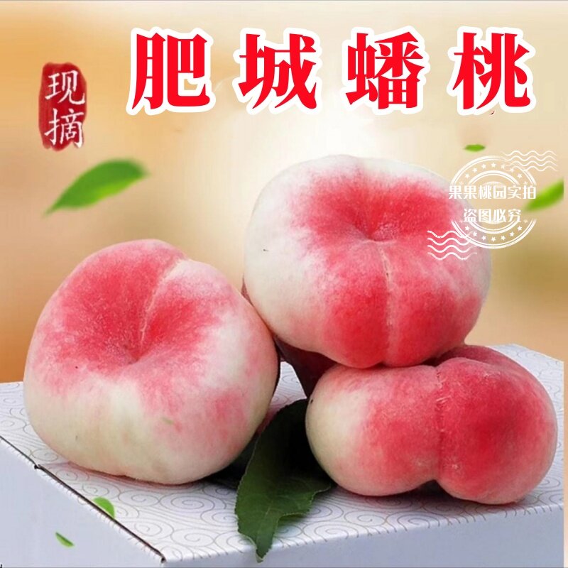 蟠桃新鲜水果整箱纽扣蟠桃当季现摘山东正宗露天桃子肥城水蜜桃