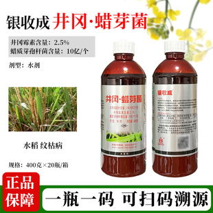银收成 井冈霉素蜡质芽孢杆菌水稻纹枯病专用杀菌剂农药正品喷雾